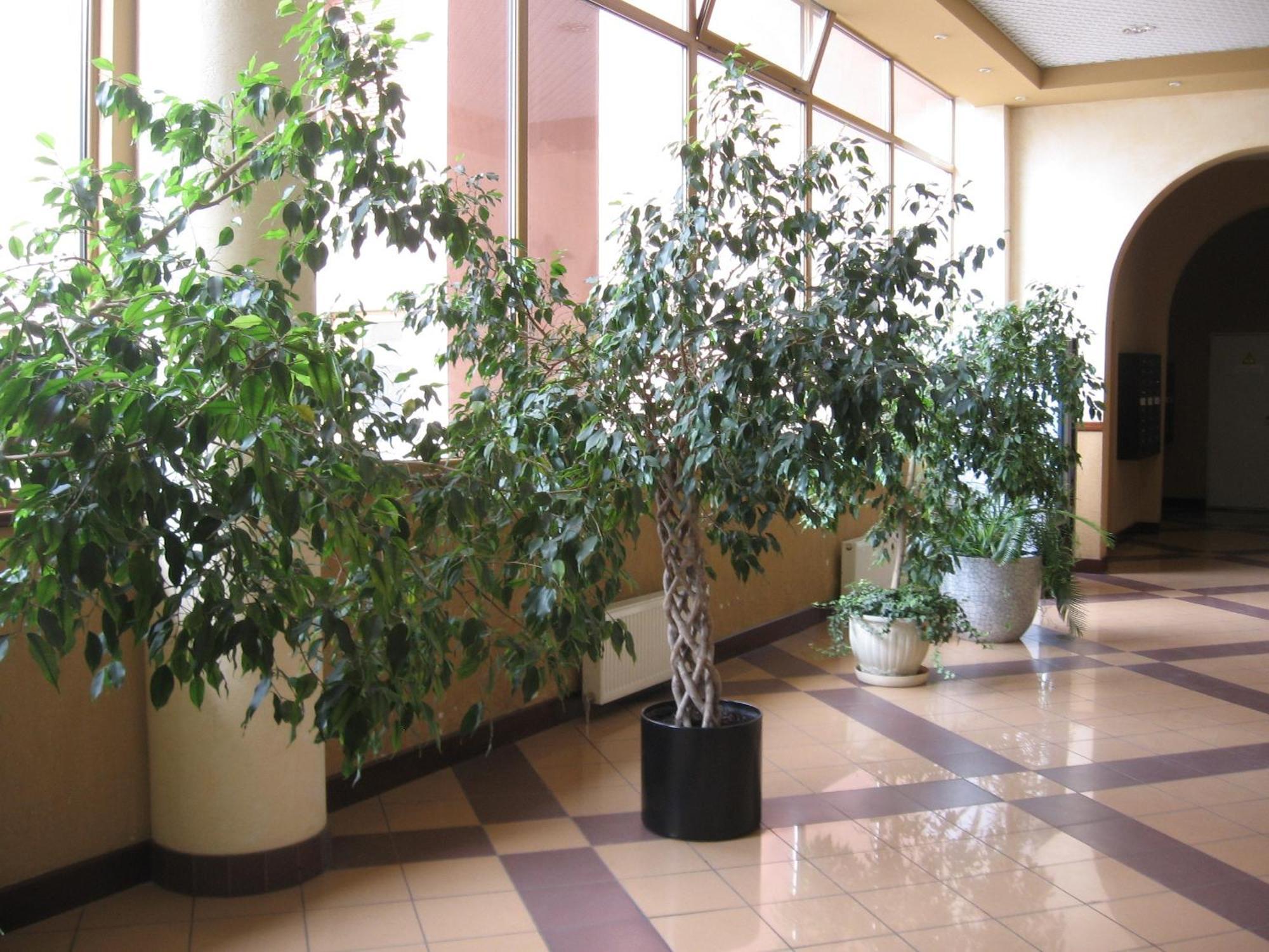 Diplomat Aparthotel Kiev Bagian luar foto